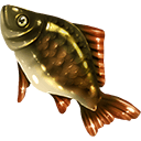 Perch