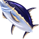 Marlin