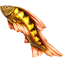 Golden trout