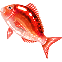 Red snapper