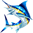 Swordfish