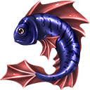 Fighting fish
