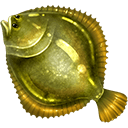 Puffer fish