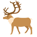 Guardian of the Everforest